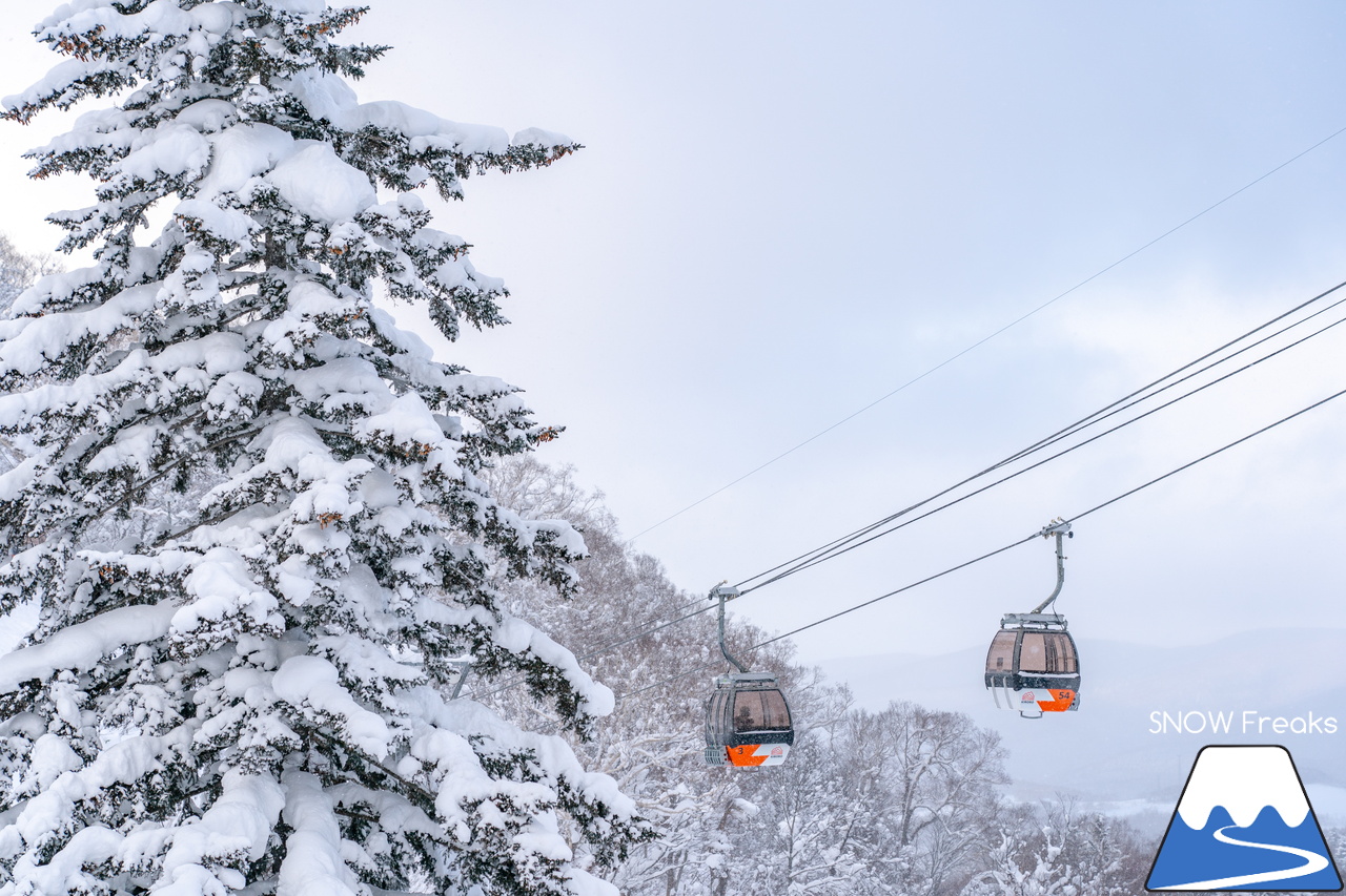 最高に気持ちの良いキロロの雪を滑る！北海道発 スキー・アウトドア専門店『パドルクラブ』のスタッフたちの休日。【ゲレンデパウダー編】in キロロリゾート